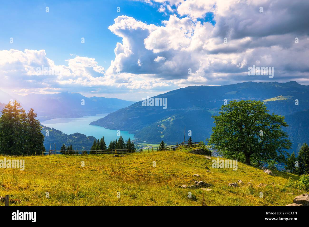 Splendida vista sul lago di Thun e sul lago di Brienz dal sentiero Schynige Platte nell'Oberland Bernese, Canton Berna, Svizzera. Montagna popolare in al svizzero Foto Stock