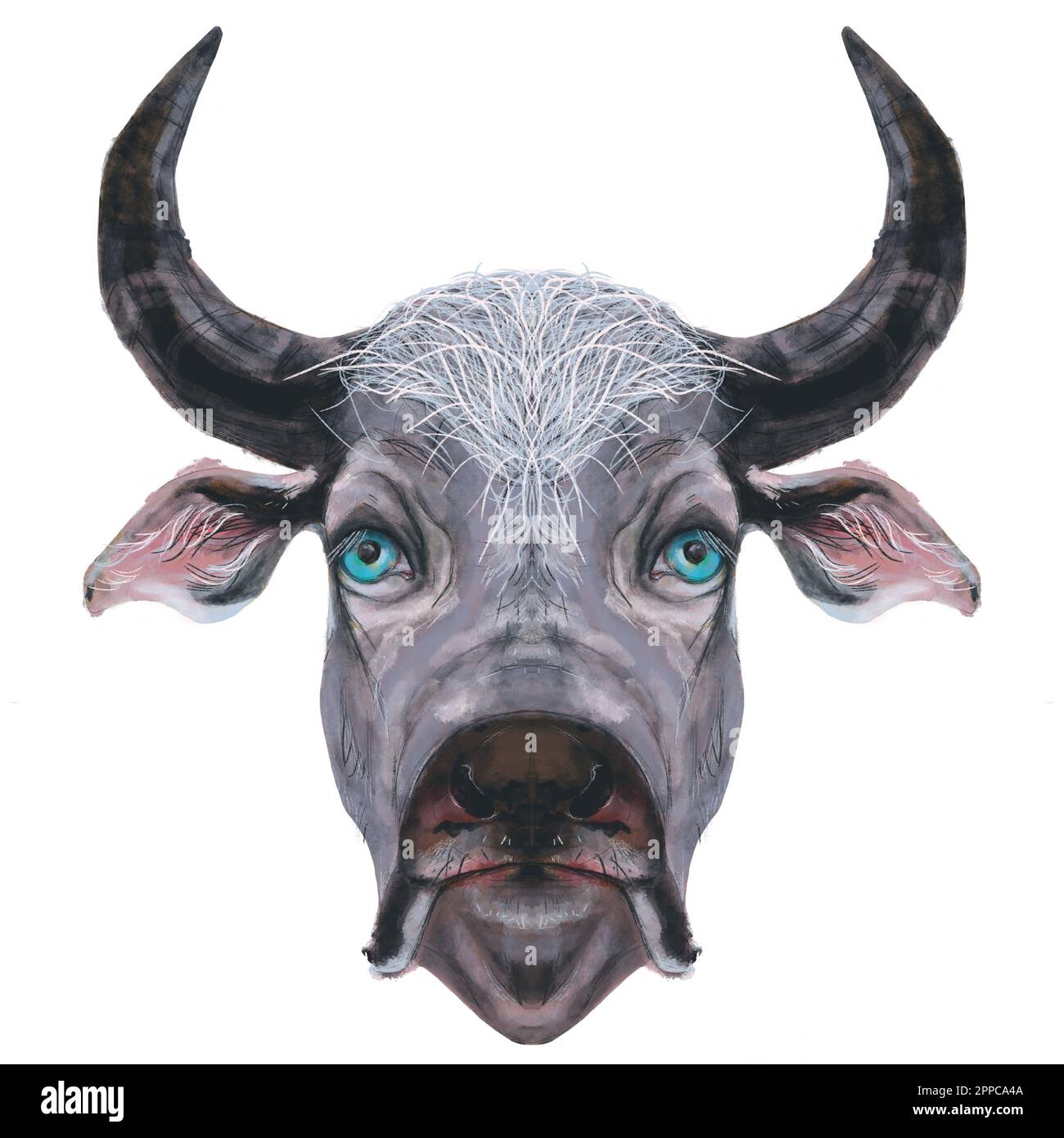 Illustrazione digitale della testa di bue o bufali su sfondo bianco. Tratti di acquerello. Animali oroscopi cinesi Foto Stock