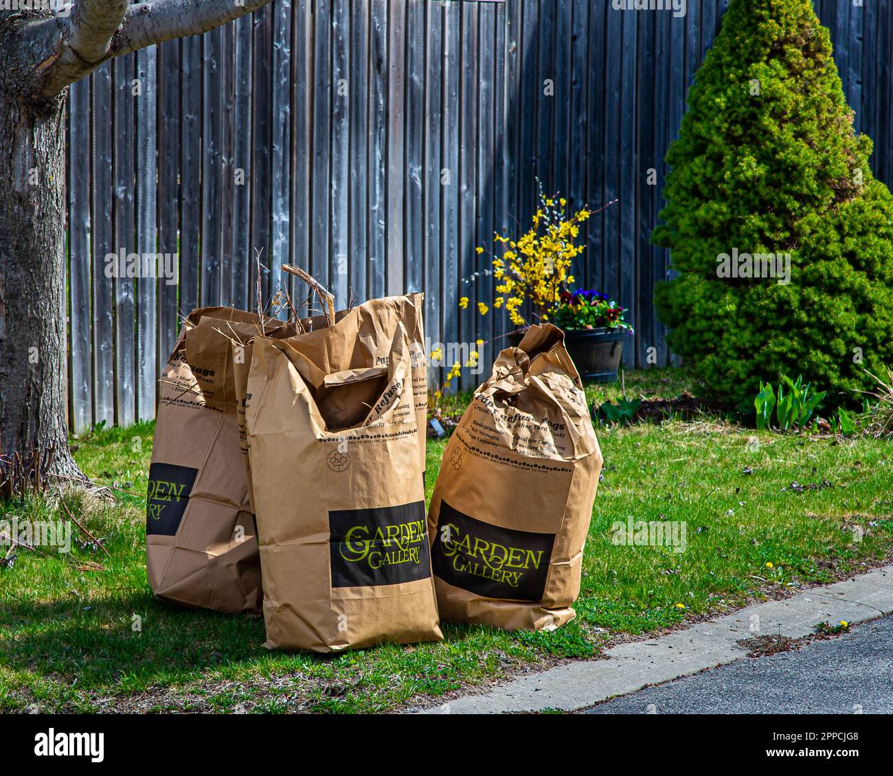 Sacchetti con rifiuti naturali del giardino da lavoro primaverile in giardini e piazze. Ricircolo completo dei prodotti della madre natura. Foto Stock