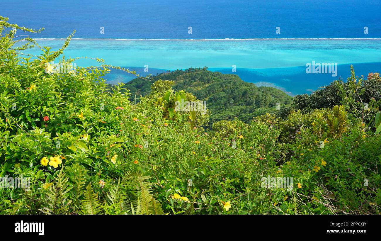 Vegetazione verde e oceano blu, colori tropicali della Polinesia Francese visti dalle alture dell'isola di Huahine, scena naturale, Sud Pacifico Foto Stock