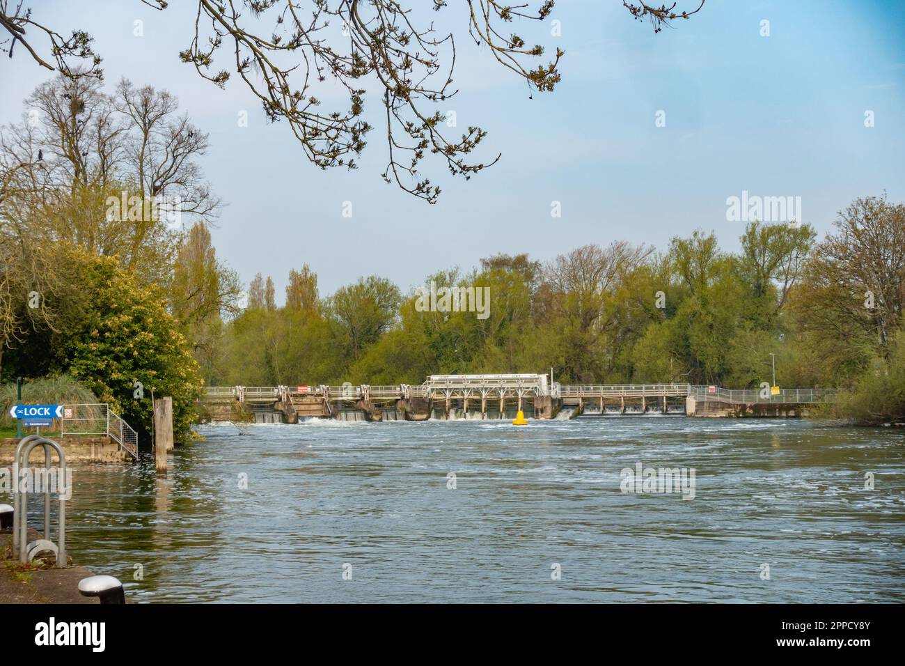 Una vista lungo il Tamigi guardando verso la serratura e lo sbarramento di Kings Meadow a Reading, Regno Unito Foto Stock