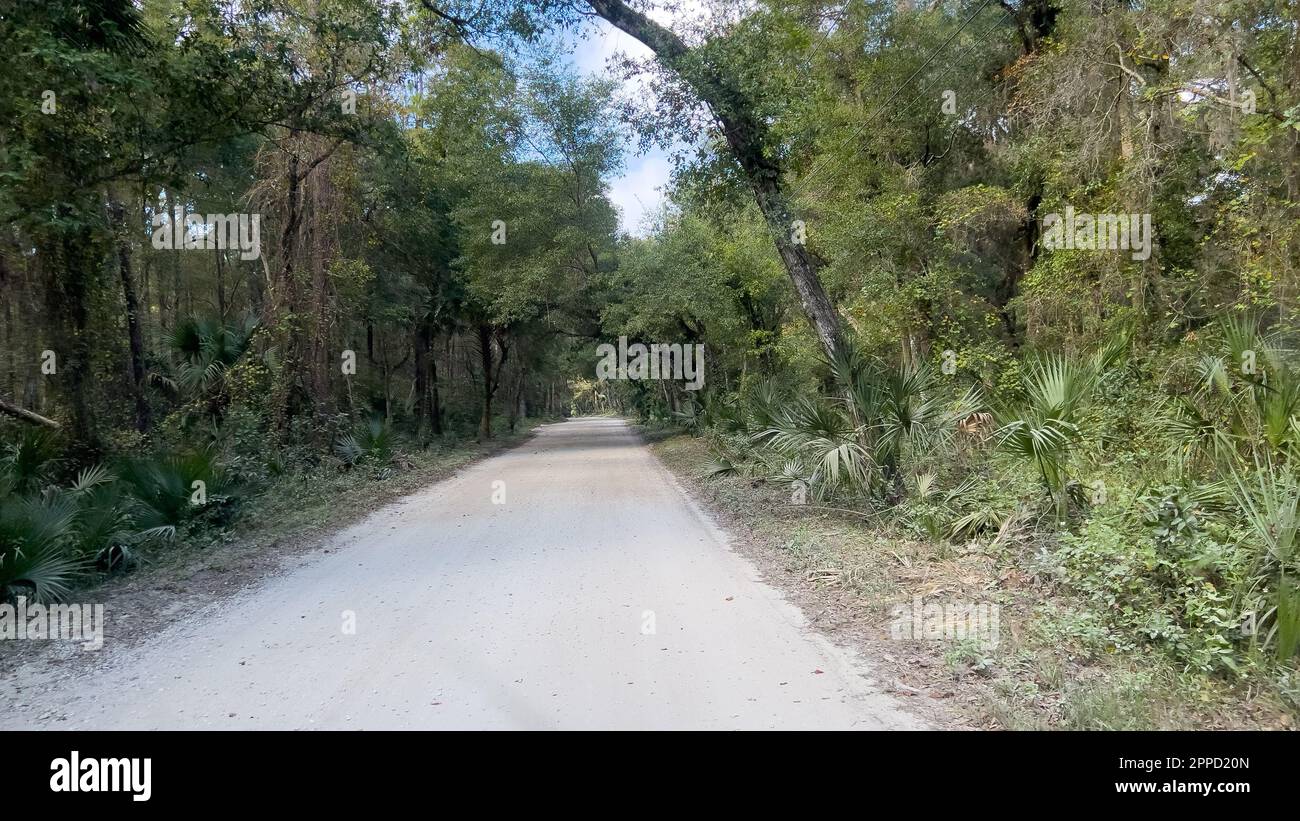 Il viaggio attraverso la più forest nel Parco Nazionale ecologico di Timucuan a Jacksonville, Florida. Foto Stock