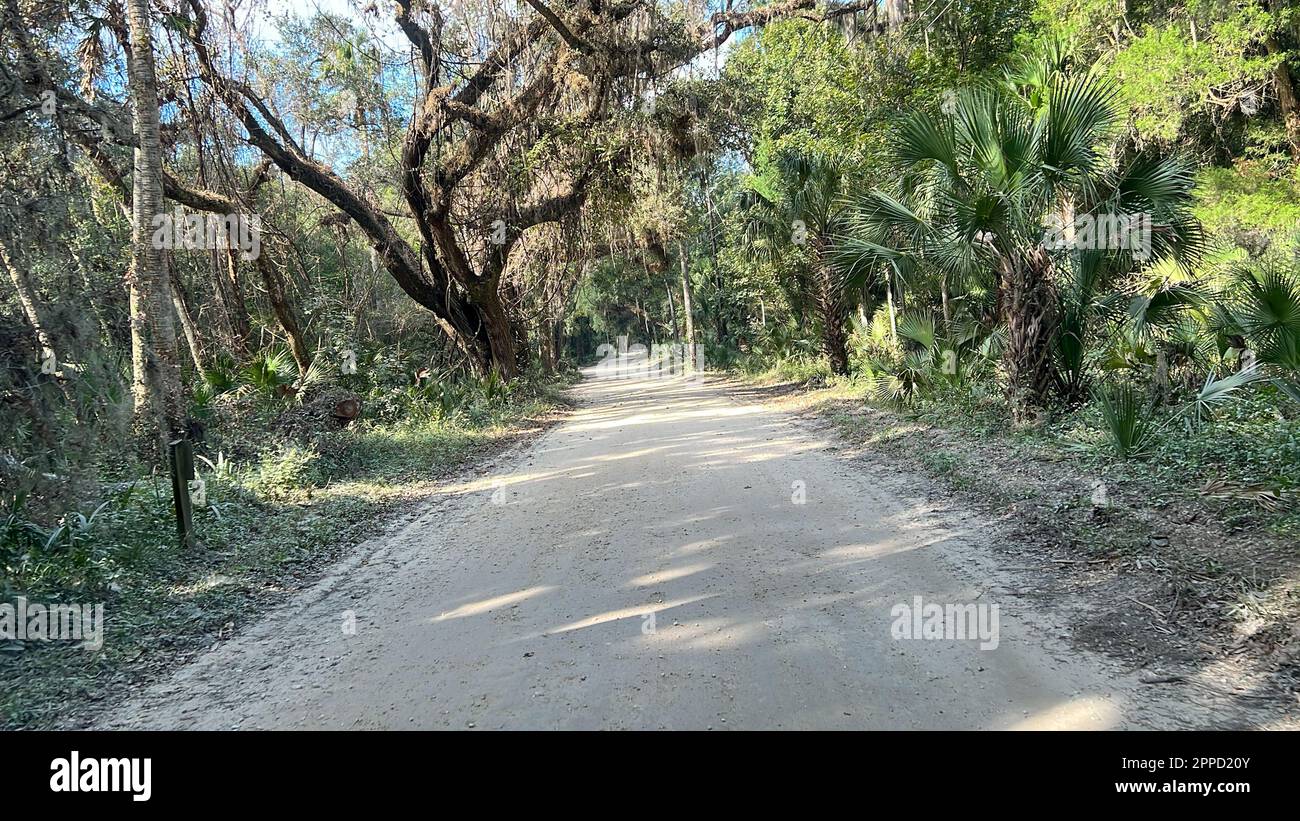 Il viaggio attraverso la più forest nel Parco Nazionale ecologico di Timucuan a Jacksonville, Florida. Foto Stock