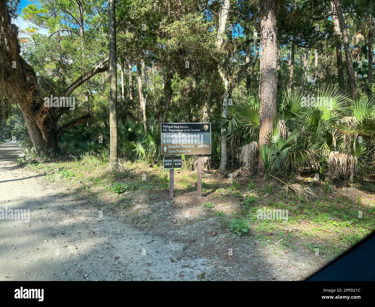 Il viaggio attraverso la più forest nel Parco Nazionale ecologico di Timucuan a Jacksonville, Florida. Foto Stock