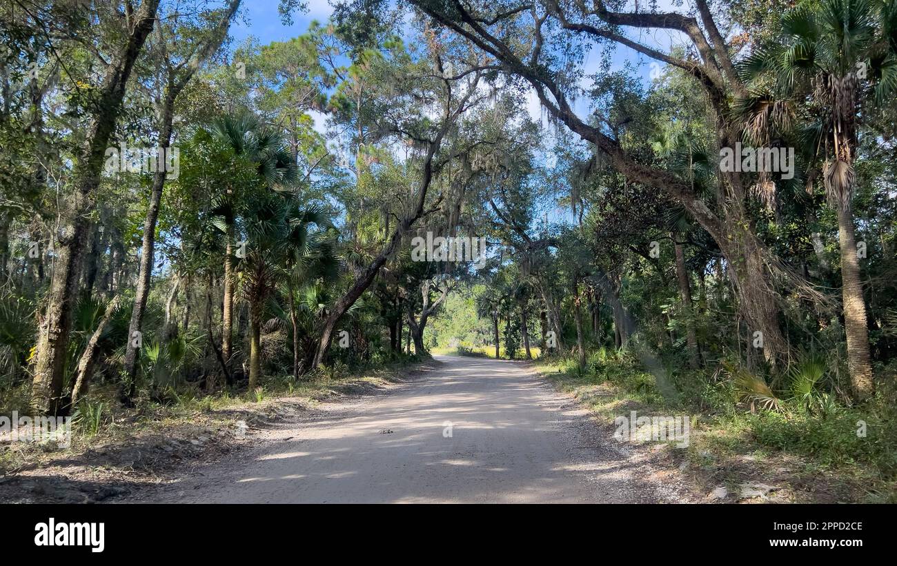 Il viaggio attraverso la più forest nel Parco Nazionale ecologico di Timucuan a Jacksonville, Florida. Foto Stock