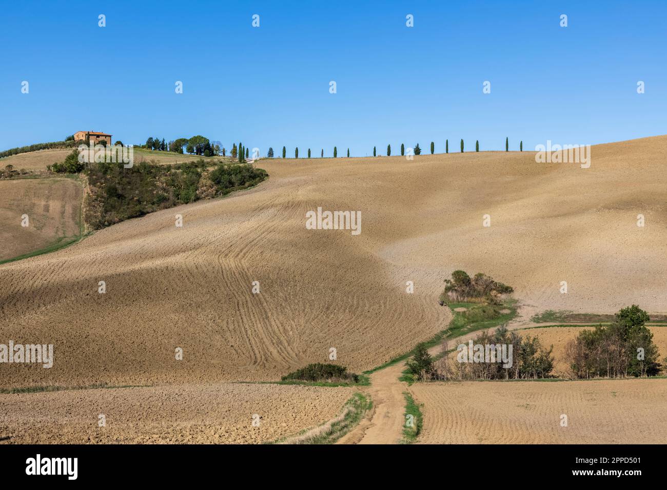 Italia, Toscana, paesaggio ondulato della Val d'Orcia Foto Stock