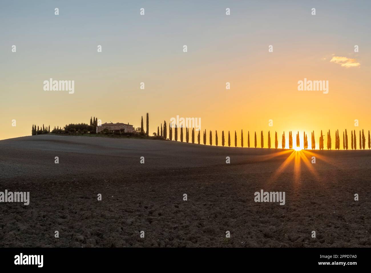 Italia, Toscana, Castiglione d'Orcia, Sole che sorge su una linea di cipressi in Val d'Orcia Foto Stock