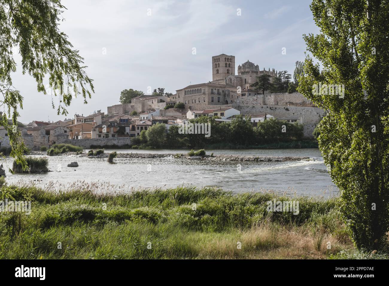 Spagna, Castilla y Leon, Zamora, Douro fiume con bordo della città in background Foto Stock