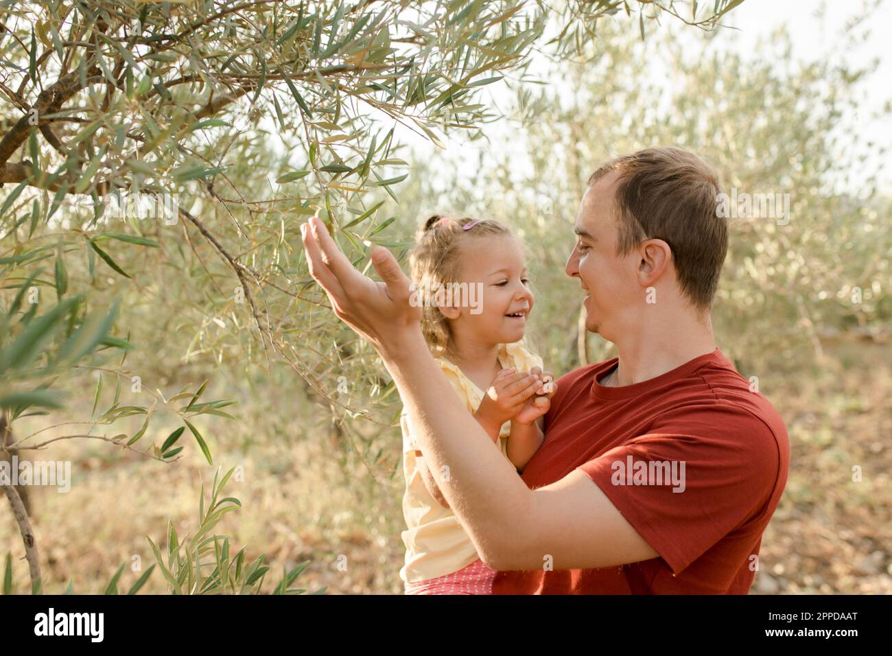 Sorridente padre che mostra olive su albero a figlia in giardino Foto Stock