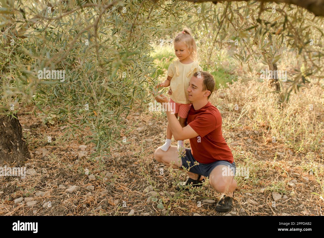 Padre che mostra olive a figlia in giardino Foto Stock