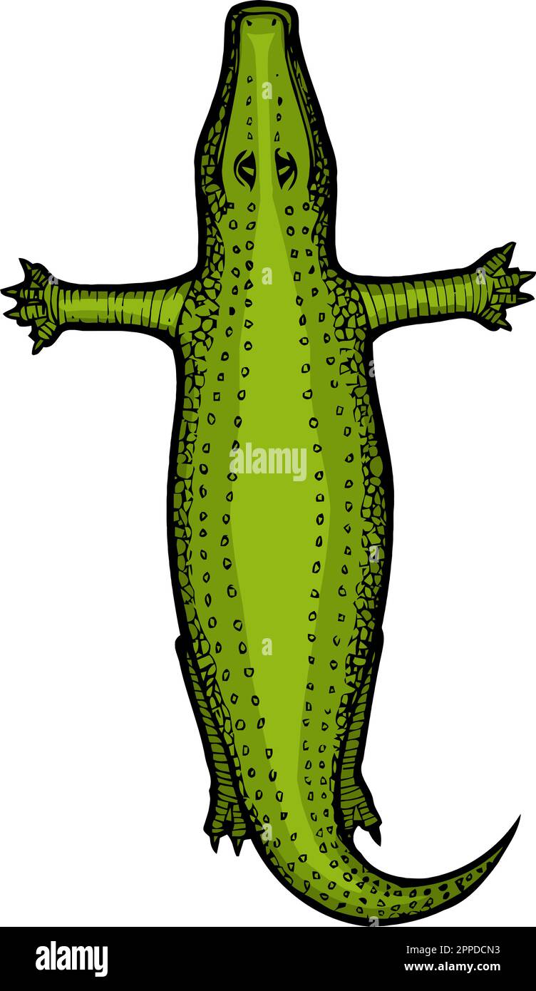 alligatore a forma di lettera t Illustrazione Vettoriale