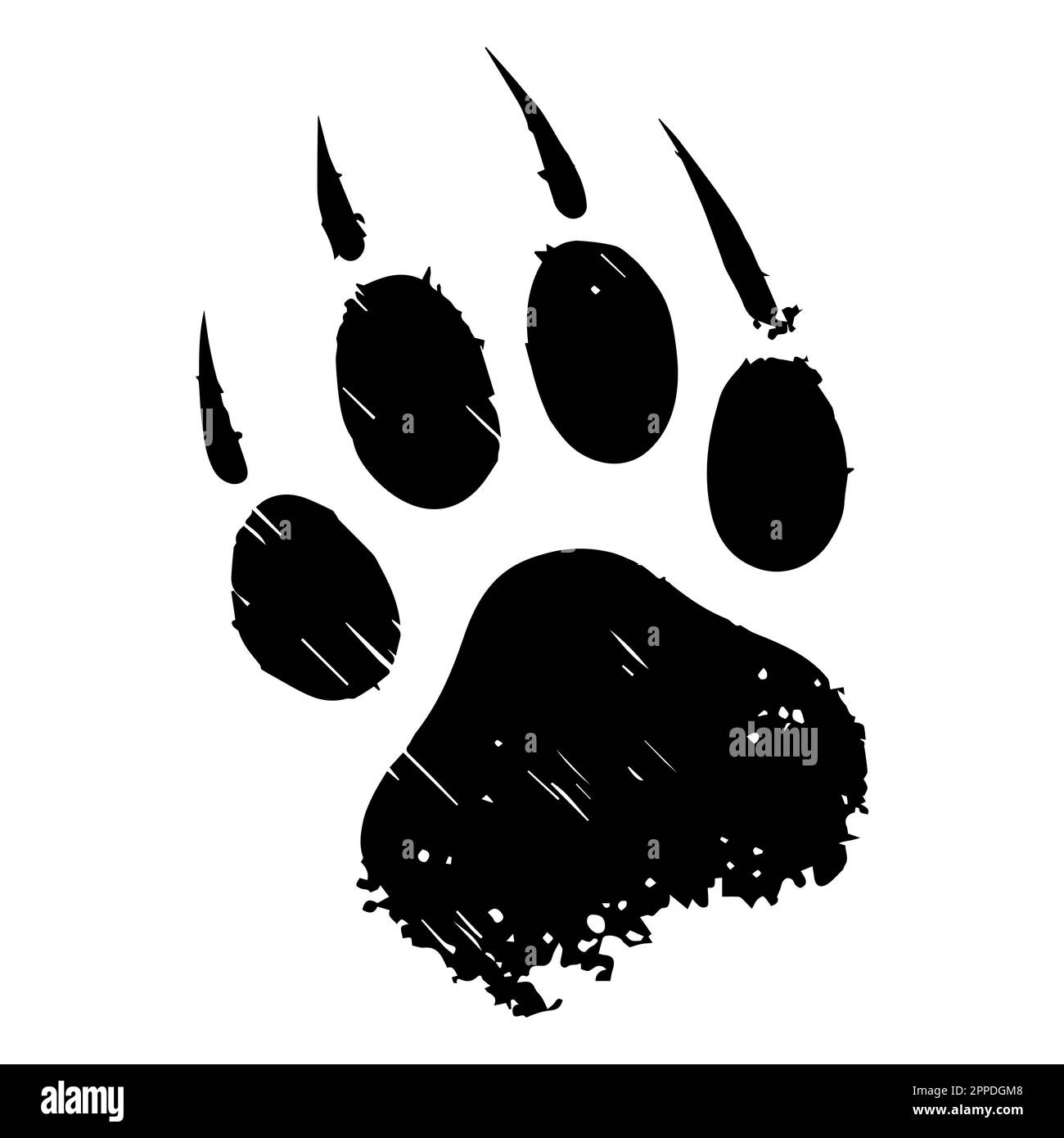 stampa di zampa nera di un animale selvatico. illustrazione del vettore piatto. Illustrazione Vettoriale