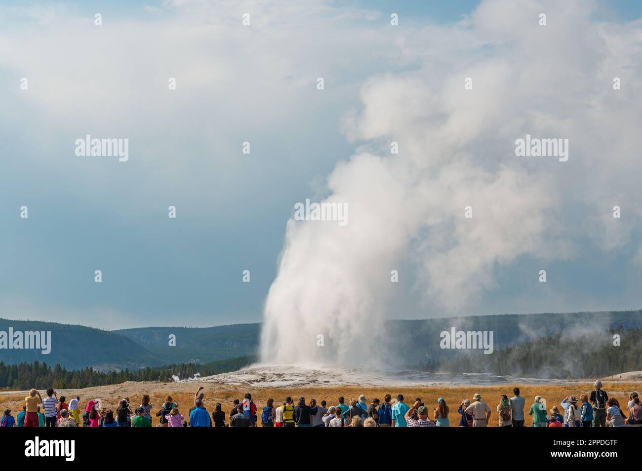 Eruttando la sorgente termale di geyser Old Faithful con i turisti, il parco nazionale di Yellowstone, USA. Foto Stock