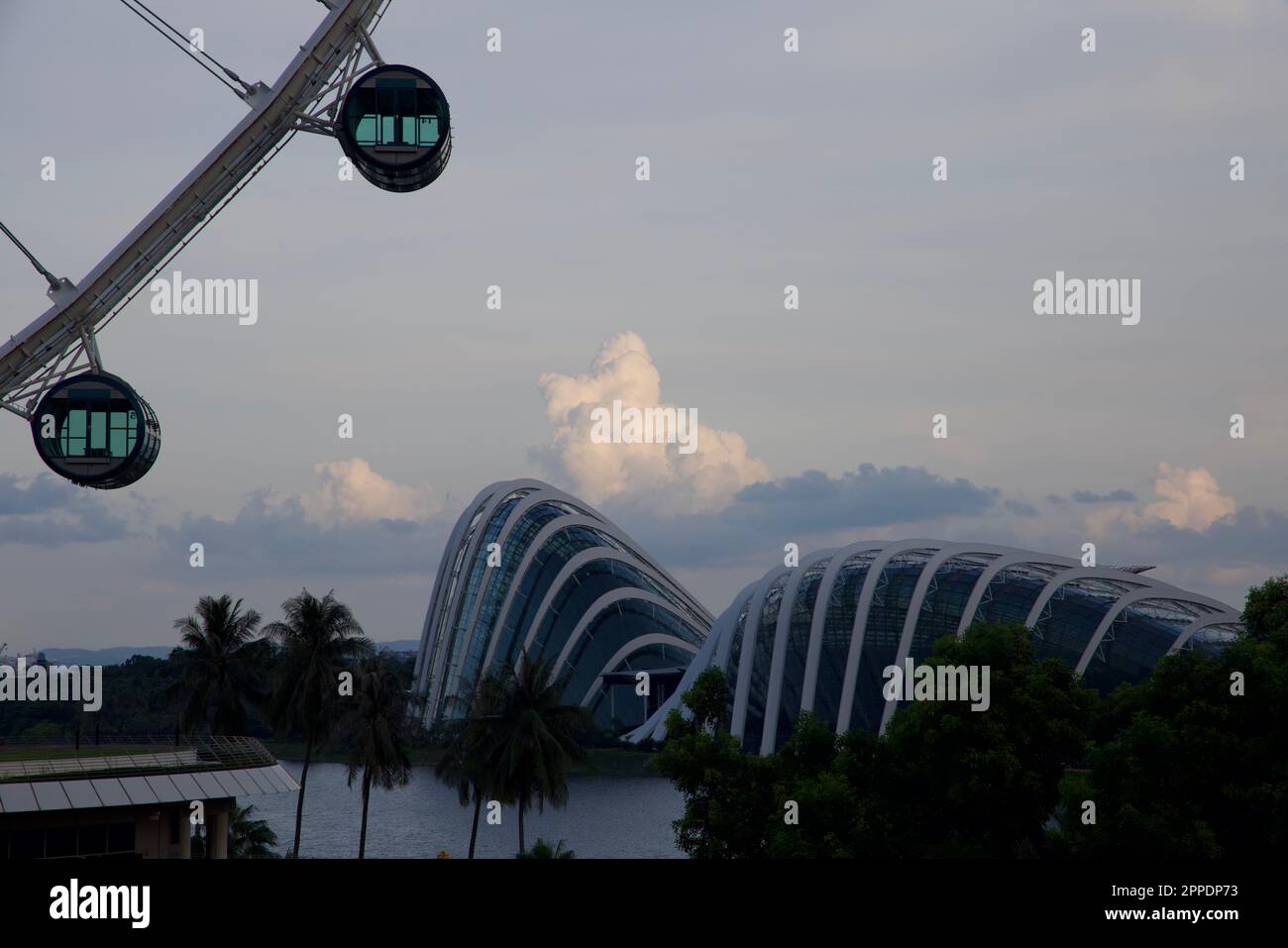 Volantini Singapore, Singapore Foto Stock