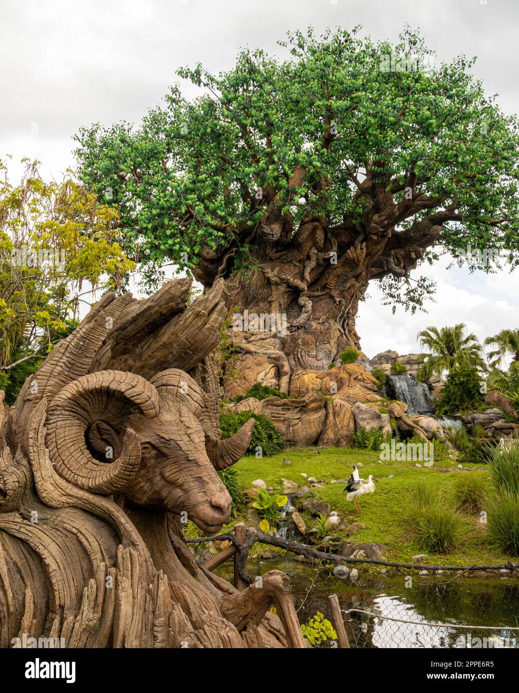 L'albero stupefacente della vita Foto Stock