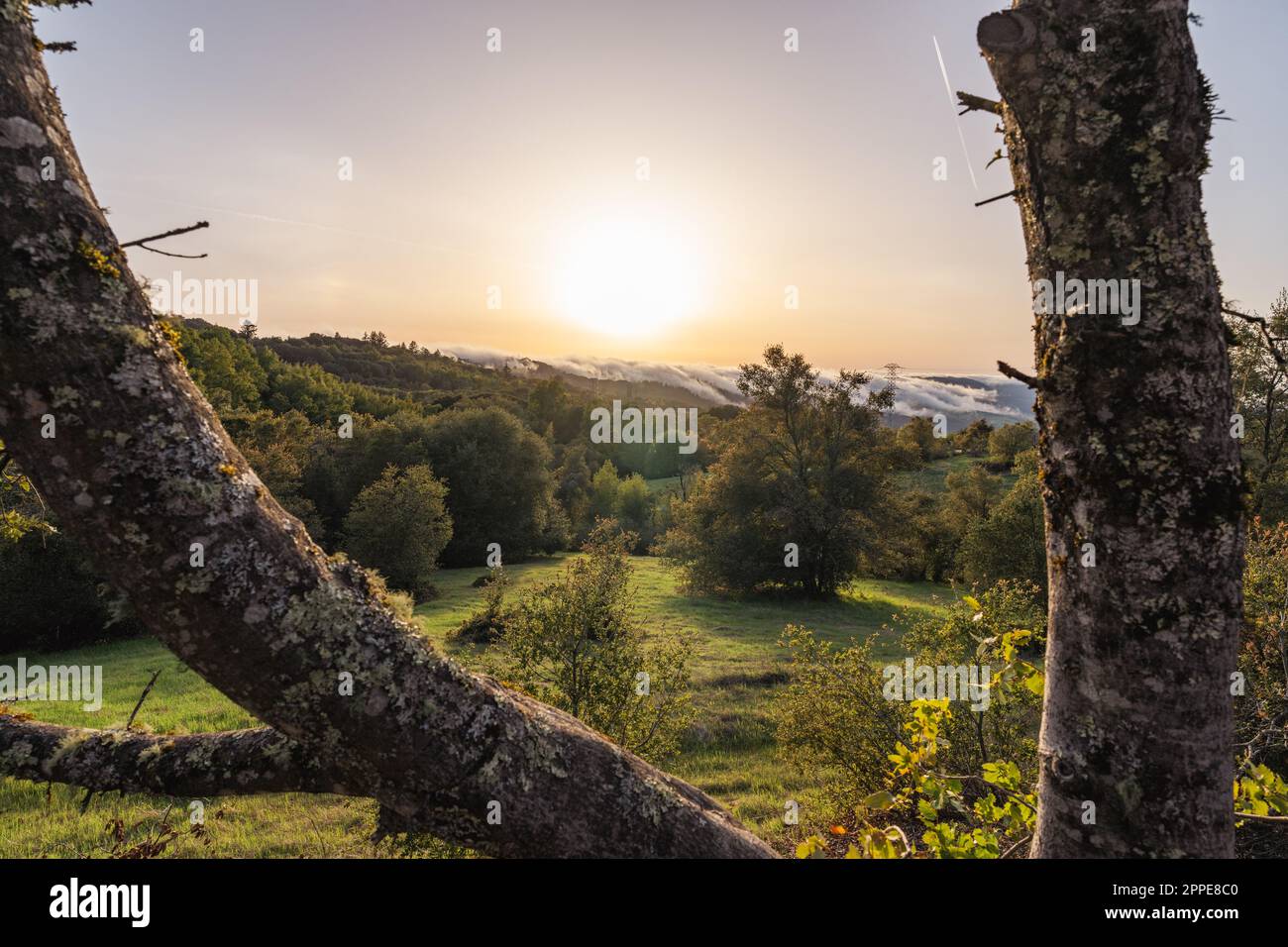 Nebbia che si avvolge sulle montagne di Santa Cruz fino a Palo Alto Foto Stock