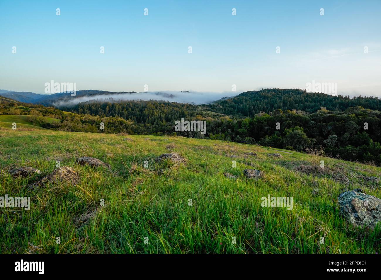 Nebbia che si avvolge sulle montagne di Santa Cruz fino a Palo Alto Foto Stock