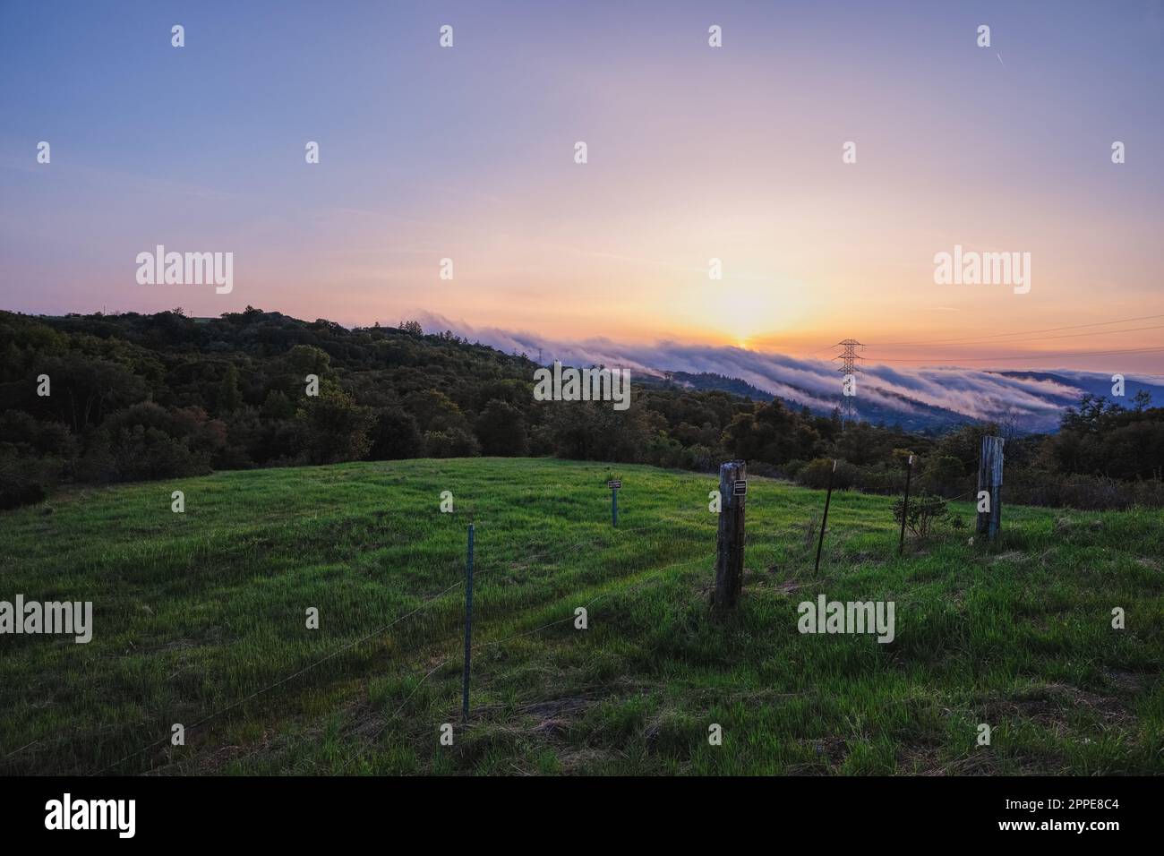 Nebbia che si avvolge sulle montagne di Santa Cruz fino a Palo Alto Foto Stock