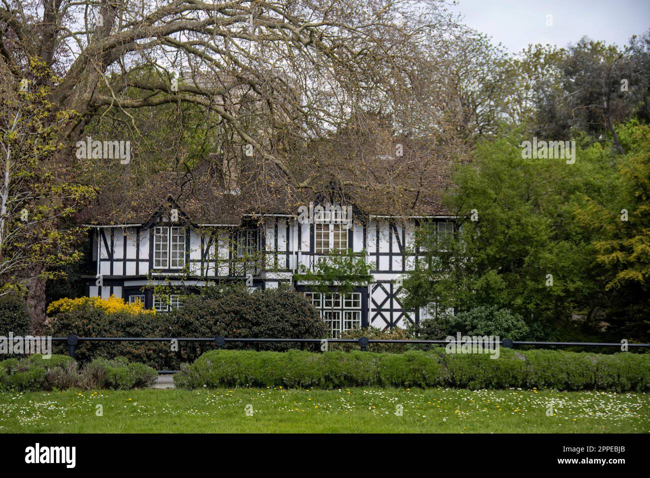 Un vecchio edificio bianco e nero in parte nascosto da alberi a Peterborough, Cambridgeshire, Regno Unito Foto Stock