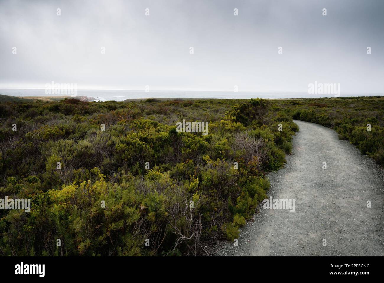 Sentiero escursionistico lungo la riva. Sentiero Montana de Oro Bluff, California centrale Foto Stock