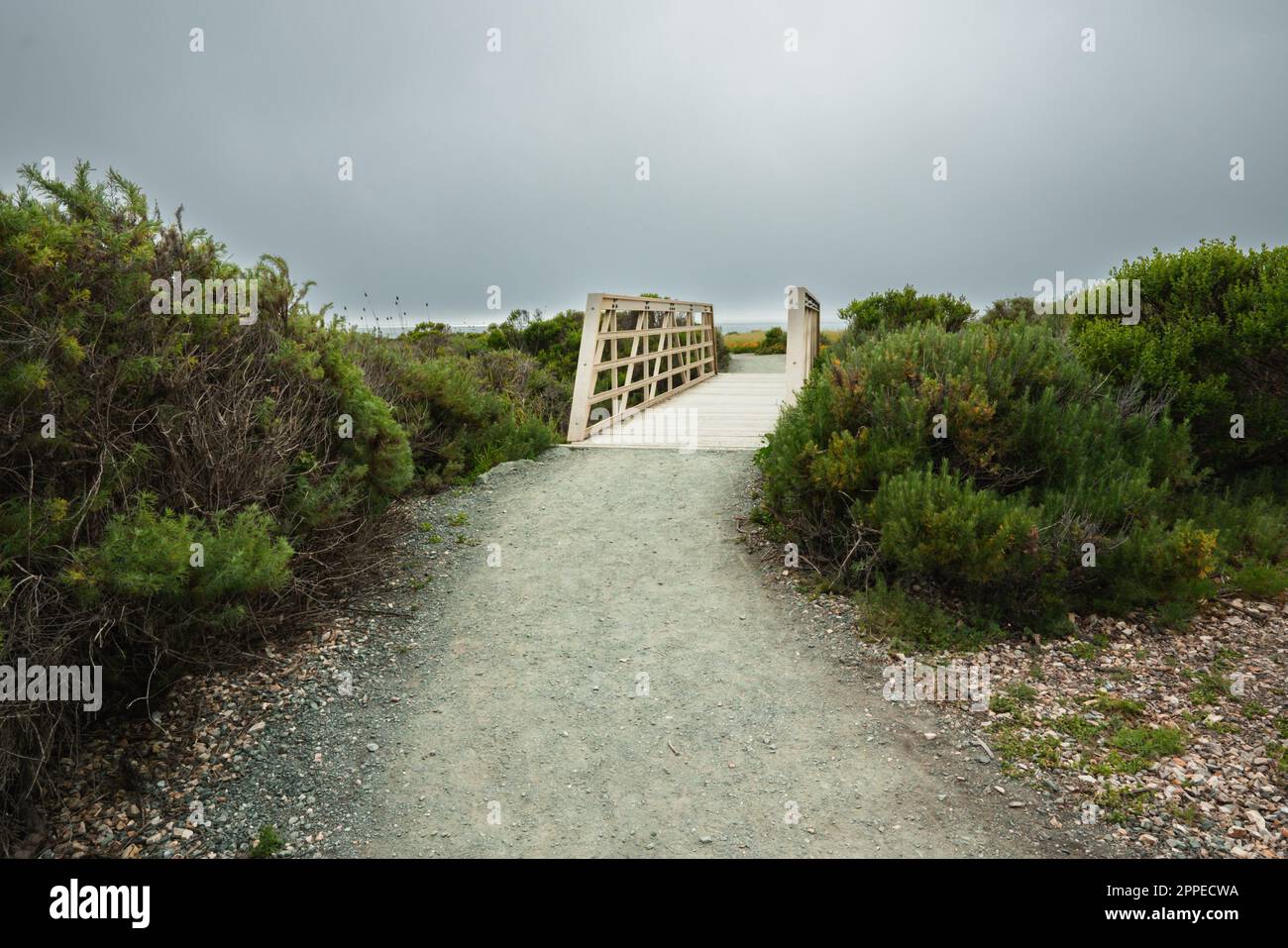 Sentiero Montana de Oro Bluff, costa della California Foto Stock