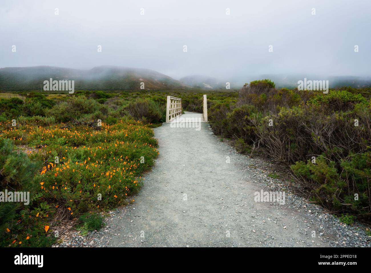 Percorso a piedi lungo la costa del Montana de Oro state Park, Costa Centrale della California Foto Stock