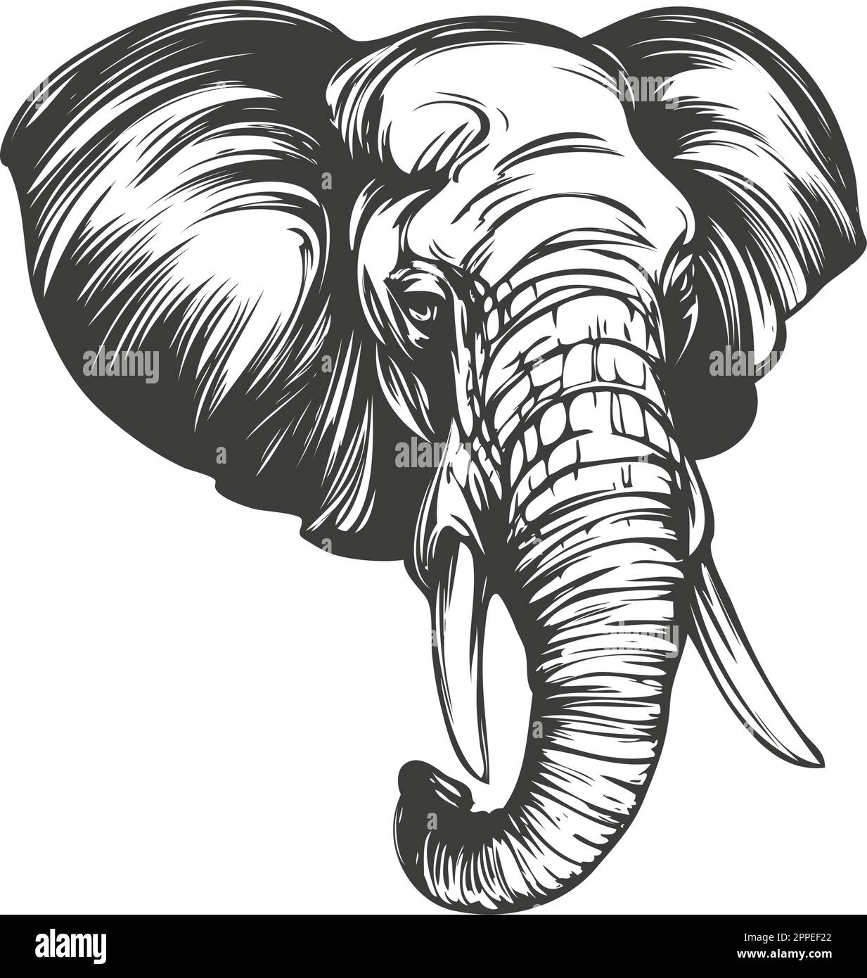 elephant grande animale mano disegnata vettoriale disegno realistico. Illustrazione Vettoriale
