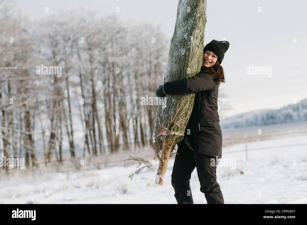 Donna che trasporta l'albero di Natale in inverno Foto Stock