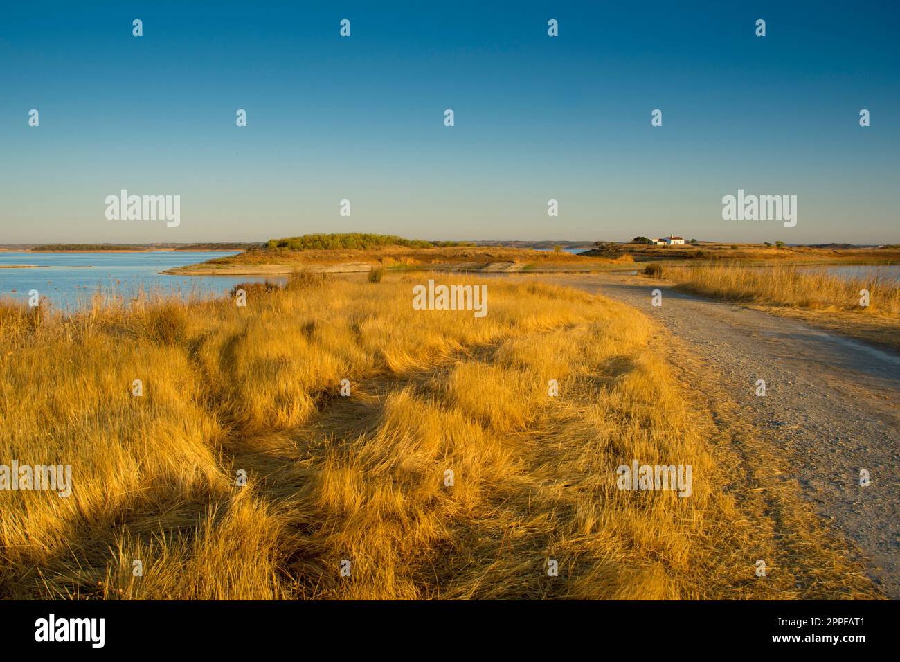 luce calda all'alba sui prati e sulla casetta vicino al lago Foto Stock