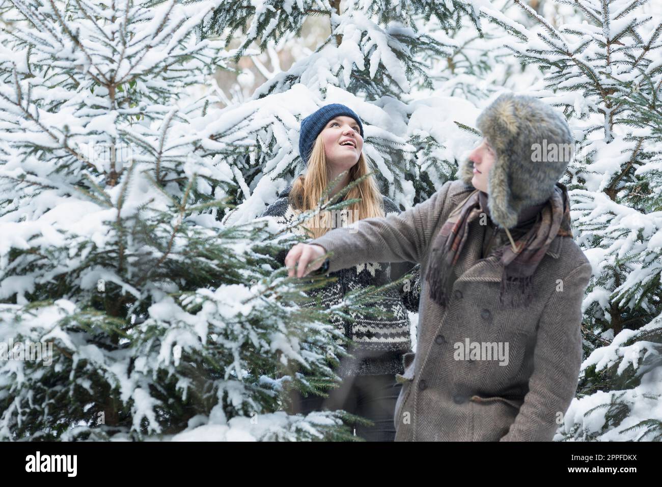Amici in foresta nevosa alla ricerca di un albero di natale, Baviera, Germania Foto Stock