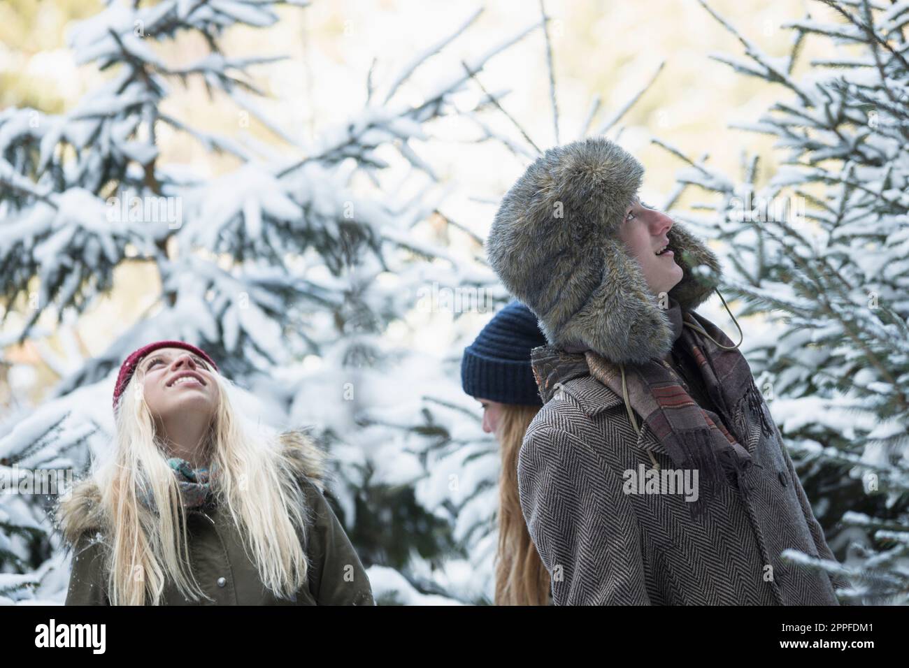 Amici in foresta nevosa alla ricerca di un albero di natale, Baviera, Germania Foto Stock