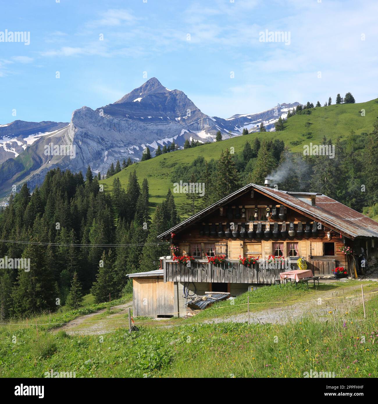 Scena estiva nella valle del Saanenland, Svizzera. Foto Stock