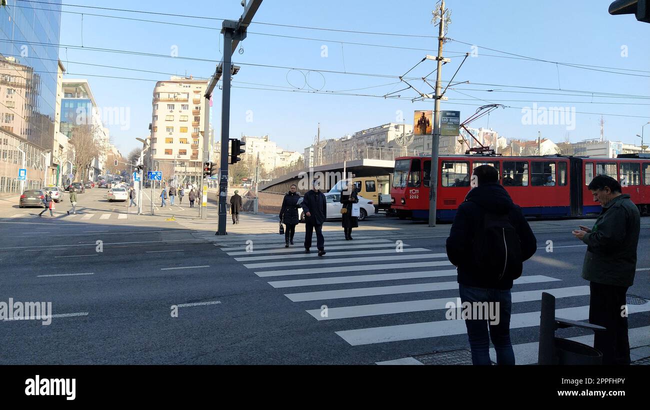 Belgrado, Serbia - 24 gennaio 2020: Attraversamento pedonale con persone in piazza Slavia nel centro di Belgrado. Traffico attivo, i pedoni attraversano la strada sulle strisce bianche zebrate. Segnaletica stradale Foto Stock