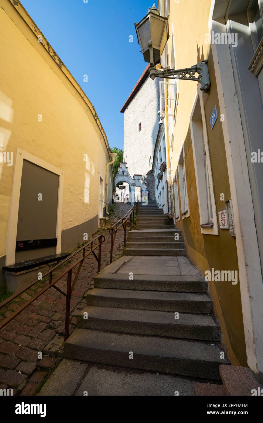 Collina di Toompea a Tallinn, Estonia Foto Stock