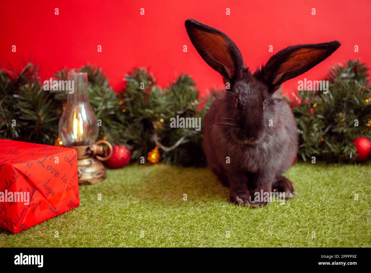 Simbolo di coniglio nero calendario cinese 2023, biglietto di auguri di Capodanno, biglietto di Natale, spazio per la copia del testo, sfondo rosso. Bella lepre su striscione, albero di Natale decorato. Palle. Foto Stock