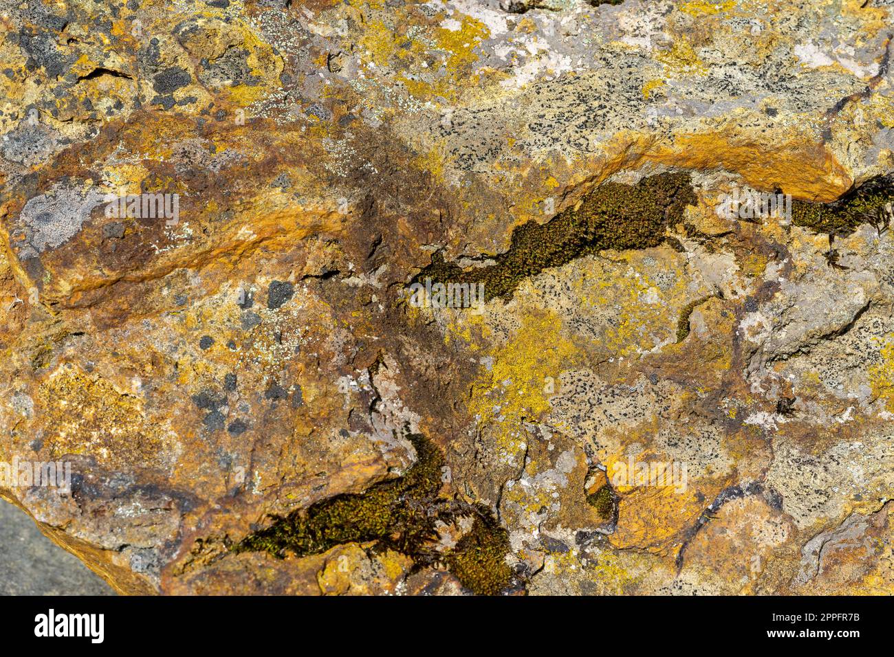 tessitura di pietra limonitica gemologia Foto Stock