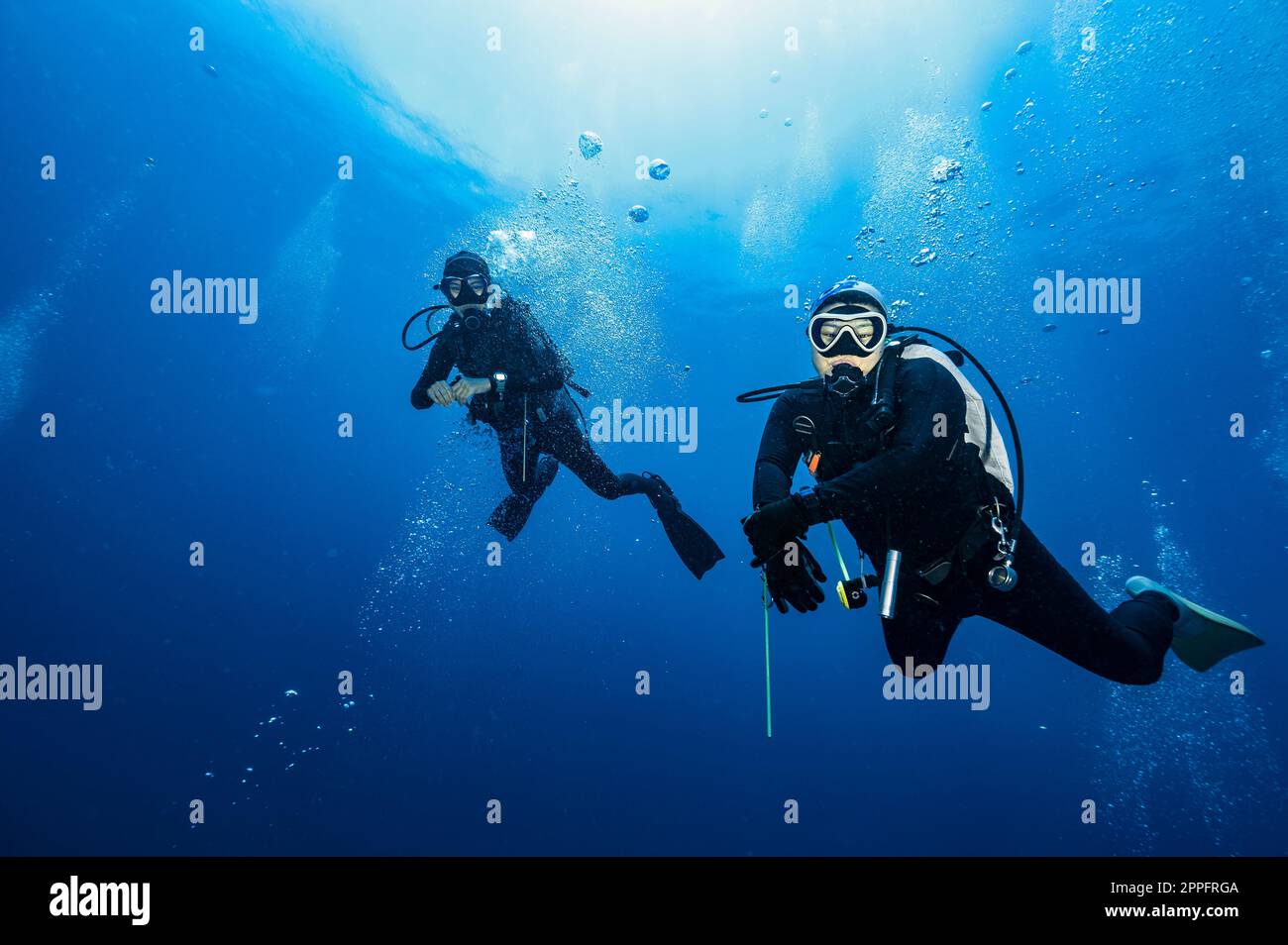 Amici subacquei che galleggiano nelle acque limpide del Golfo della Thailandia Foto Stock