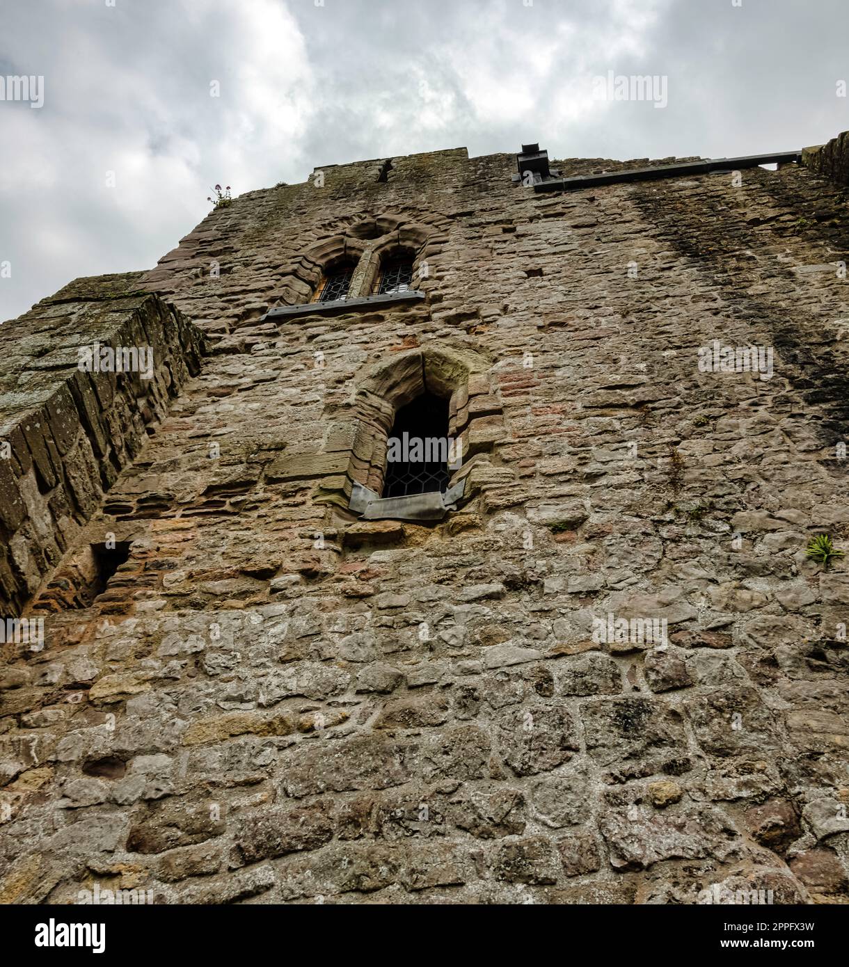 Resti del castello di Chepstow (Castell CAS-gwent) a Chepstow, Monmouthshire, Galles, Regno Unito Foto Stock