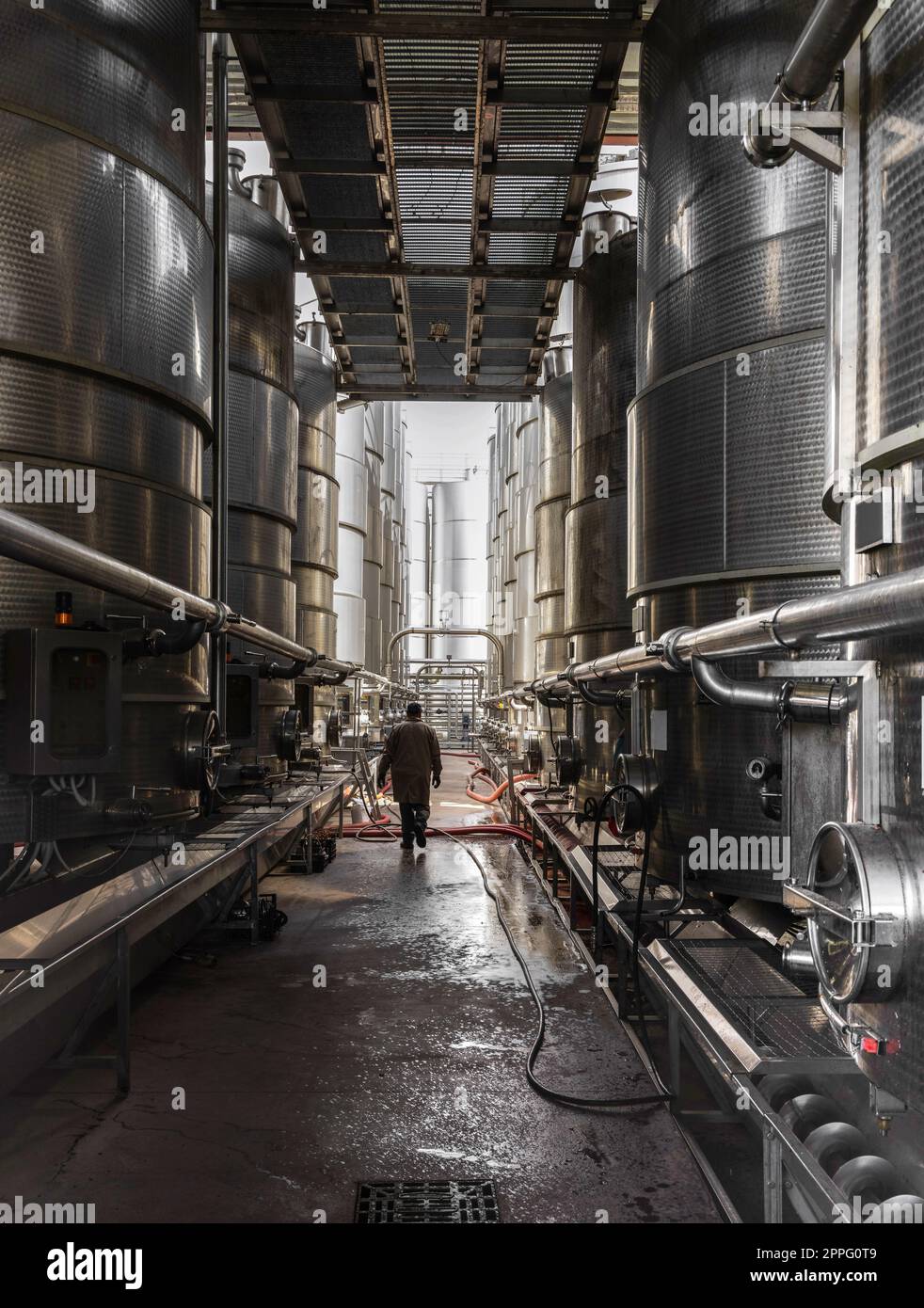 Un lavoratore che va tra vasche d'acciaio per la fermentazione del vino in una moderna cantina Foto Stock