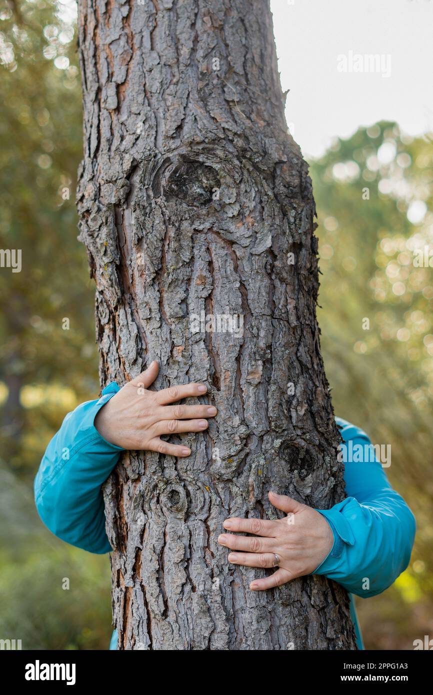 donna che abbraccia un albero nella foresta Foto Stock