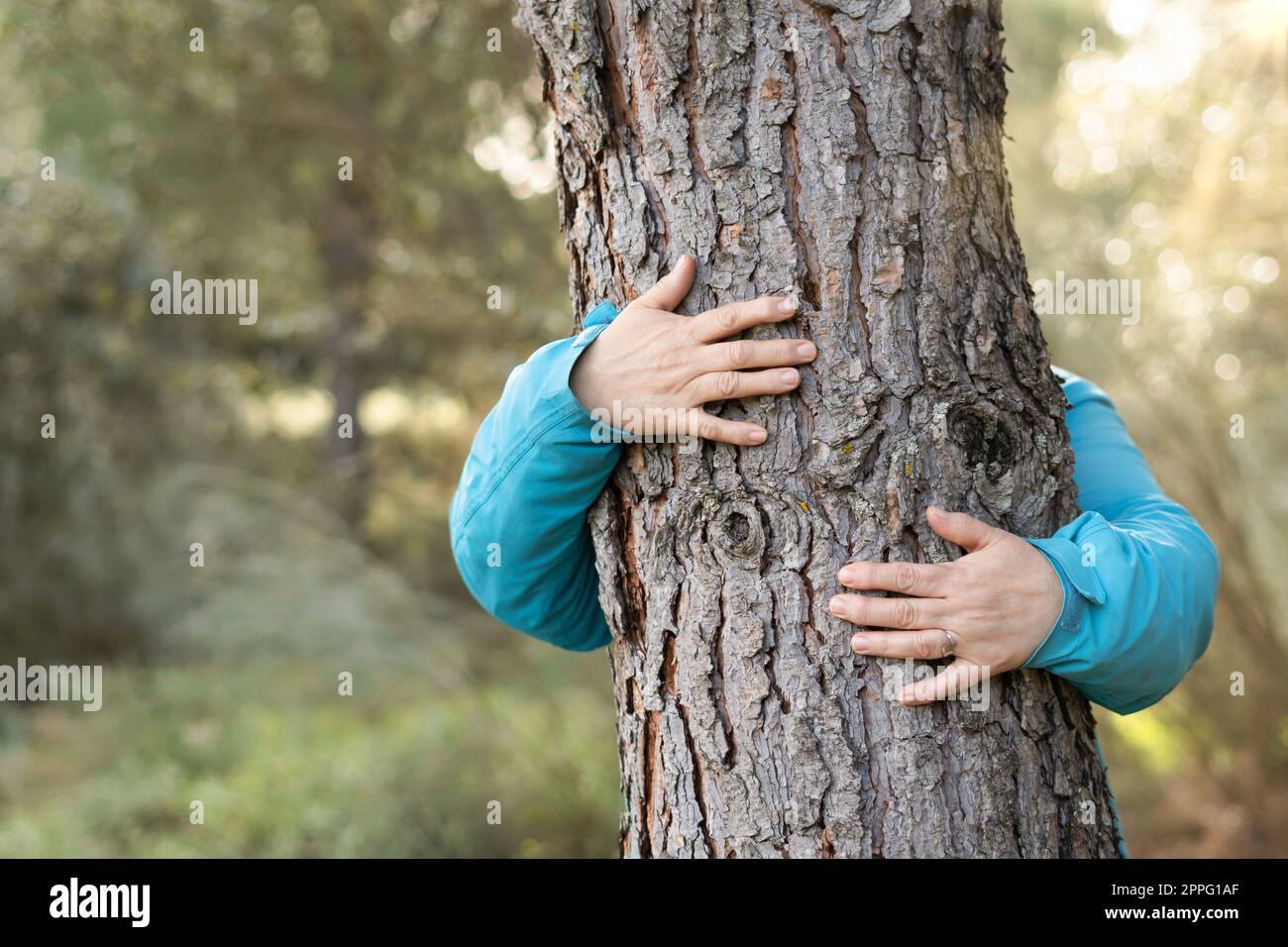 donna che abbraccia un albero nella foresta Foto Stock