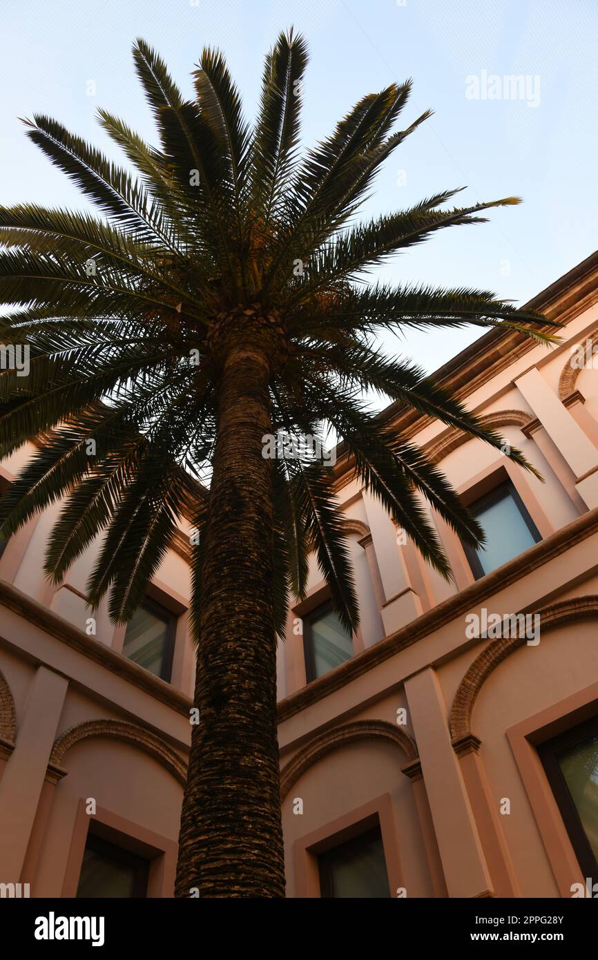 Vista sulla città, facciate di Valencia, provincia di Valencia, Spagna, marzo 2023 Foto Stock