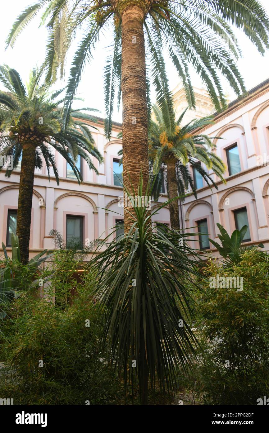 Vista sulla città, facciate di Valencia, provincia di Valencia, Spagna, marzo 2023 Foto Stock