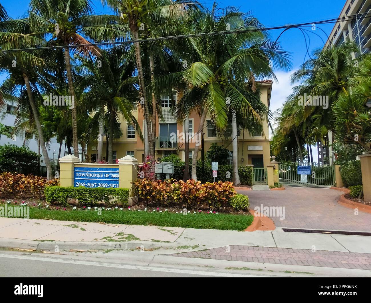 Moderni appartamenti con palme a Miami - vista dalla strada Foto Stock