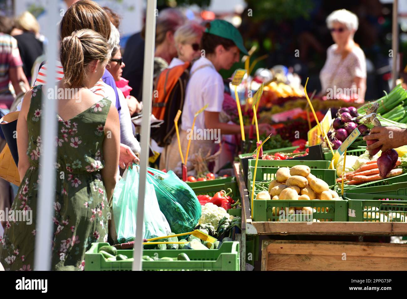 WÃ¶chentlicher GrÃ¼nmarkt in Gmunden, OberÃ¶sterreich, Ã–sterreich, Europa - mercato verde settimanale a Gmunden, alta Austria Austria Austria, Europa. Foto Stock