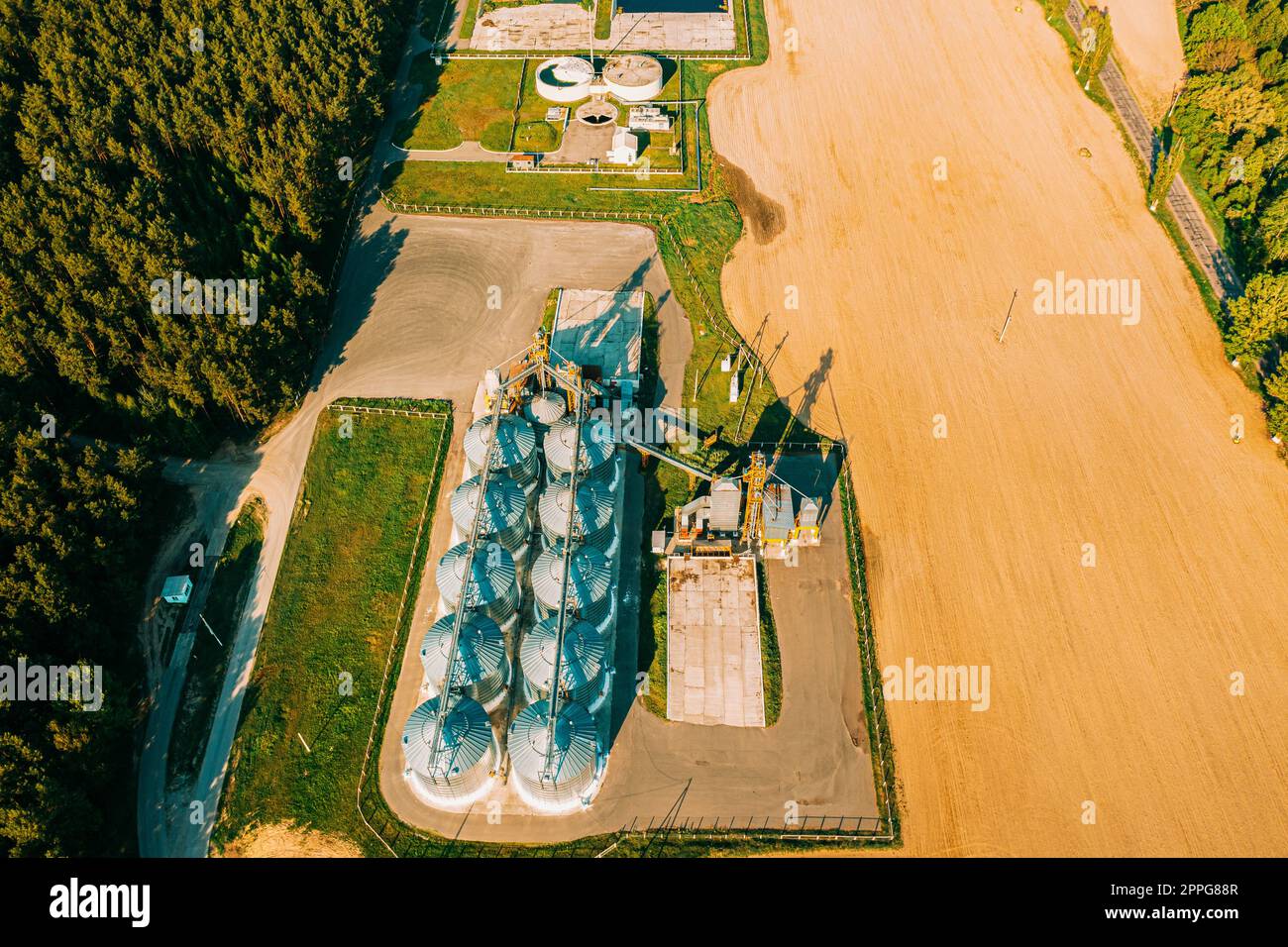 Vista aerea Granaio moderno, complesso di essiccazione dei cereali, cereali commerciali o silos di semi nel paesaggio rurale di Sunny Spring. Essiccatore per mais Silos, Inland Grain Terminal, elevatori per cereali in piedi in Un campo Foto Stock