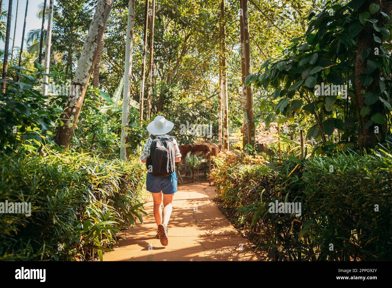 Goa, India. Giovane donna zaino in spalla a piedi attraverso il giardino botanico in Sunny Day Foto Stock