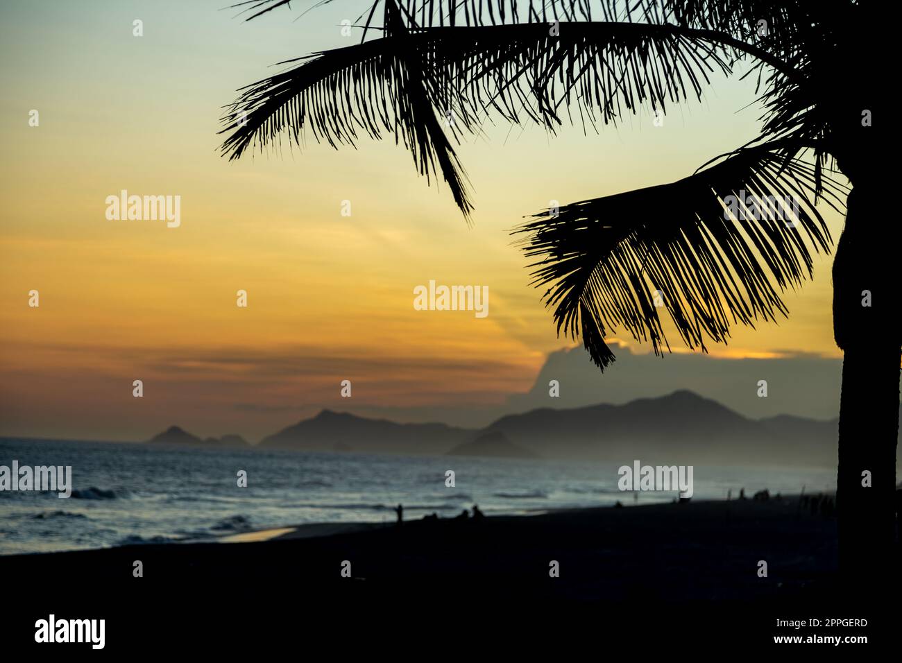 Spiaggia di Rio de Janeiro al tramonto. sagome di palme Foto Stock