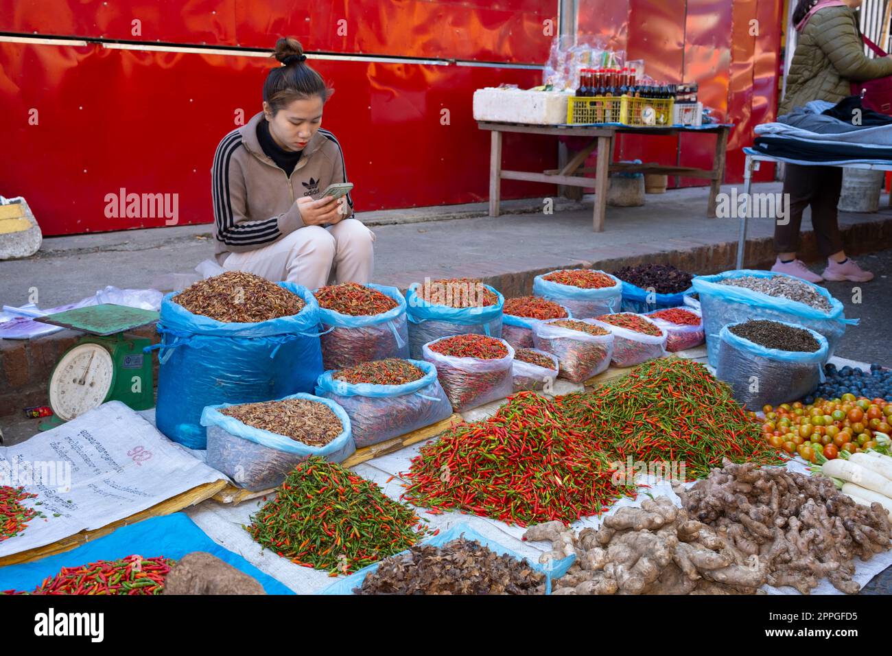 Laos: Chili pepper fornitore sul suo cellulare nel mercato mattutino, Luang Prabang. Il peperoncino, o semplicemente peperoncino in molti paesi, è la parte di frutto del genere di piante noto come Capsicum, che a sua volta provengono dalla più grande famiglia di nightshade conosciuta come Solanaceae. Il nome deriva dalla parola chili nahuatl del Messico centrale. Sebbene siano ora cresciuti in tutto il mondo, i bambini provenivano originariamente dalle Americhe, prima di essere spediti e commercializzati in tutto il mondo dopo lo Scambio Colombiano avvenuto dopo la scoperta delle Americhe da parte di Cristoforo Colombo nel 1492. Foto Stock