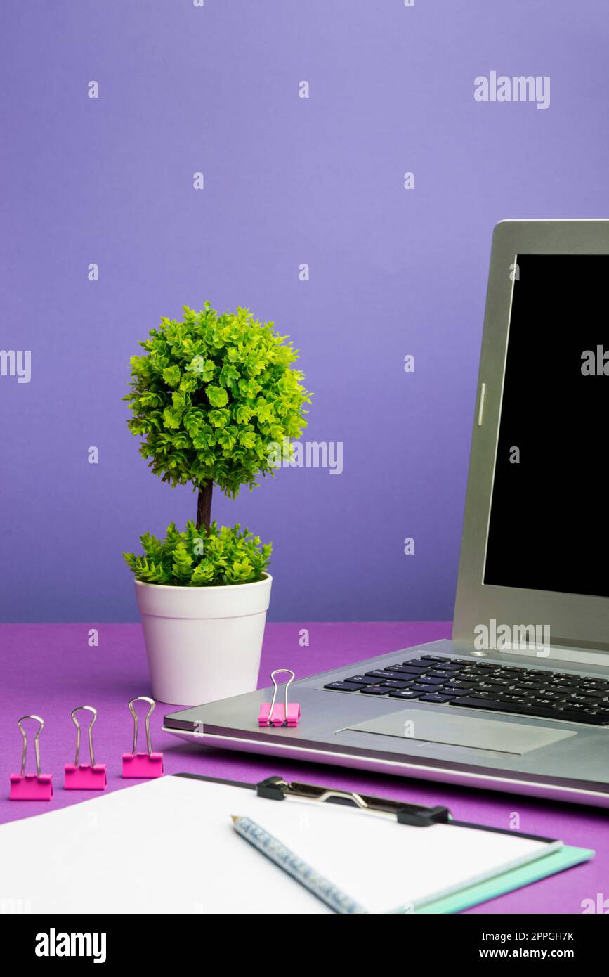 Lap Top con informazioni importanti sul tavolo con pianta e tazza di caffè. Annunci Crutial presentati sullo schermo del computer sulla scrivania con fiore e tazza. Foto Stock